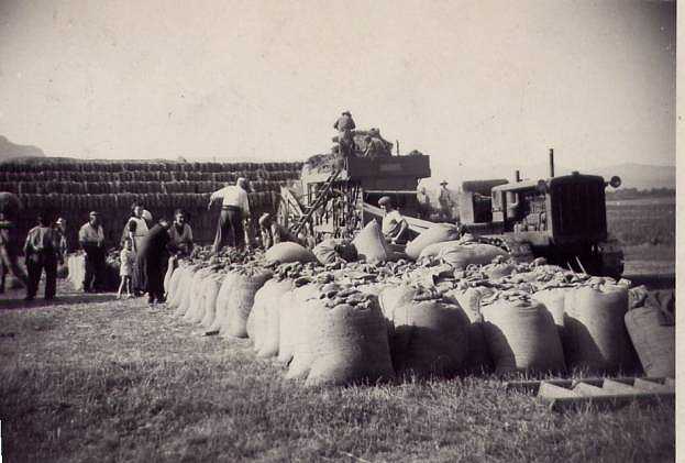 Batteuse sacs de bl 1938